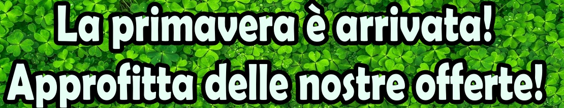 Tadelakt prezzo offerte.  Offerte 