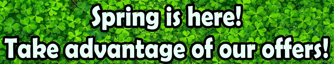 Tadelakt Promotion price drop offers. 