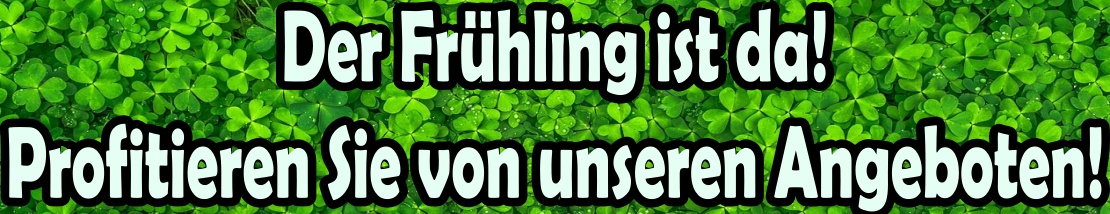 Tadelakt Promotion Preis Angebote.  Angebote 