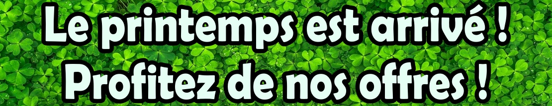 Tadelakt prix offres. Offres 