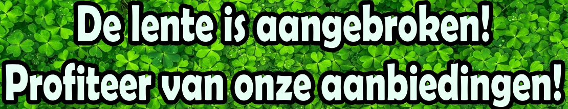 Tadelakt prijs aanbiedingen . Aanbiedingen 